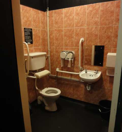 Photo: Toilet, with bars to help access. Description in text.